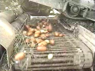 MAQUINARIA AGRICOLA (8)  CAMPESINOS